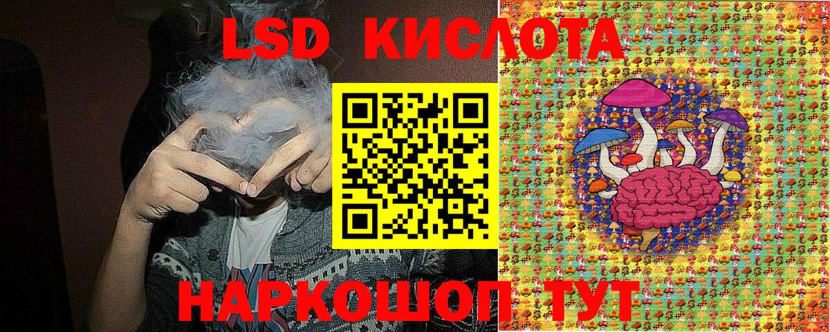 МЕФ Калининград