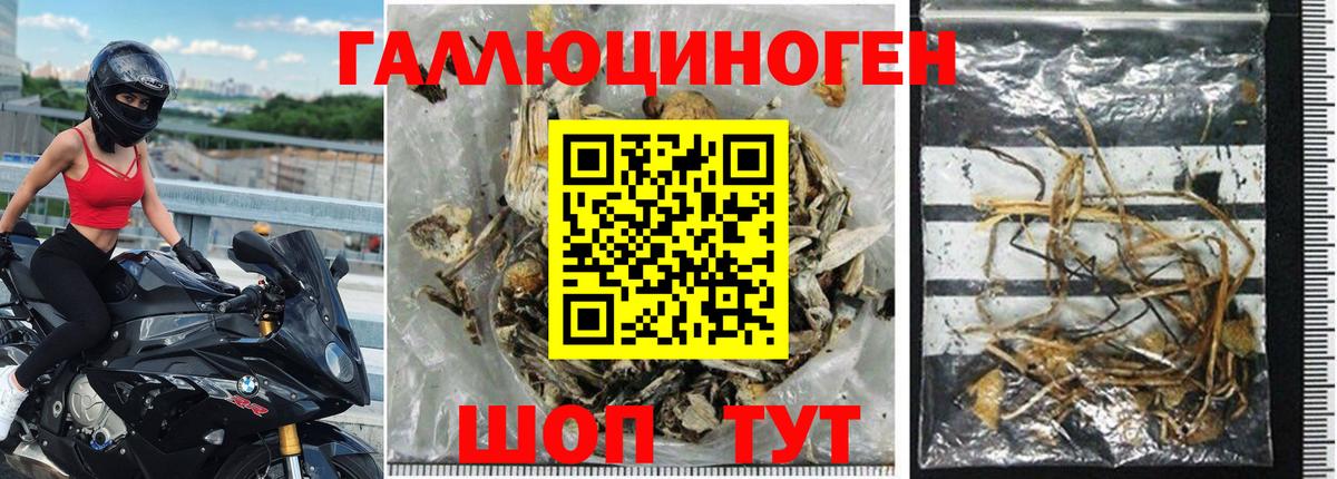 Галлюциногенные грибы прущие грибы  Вход с VPN  хочу наркоту  Калининград 
